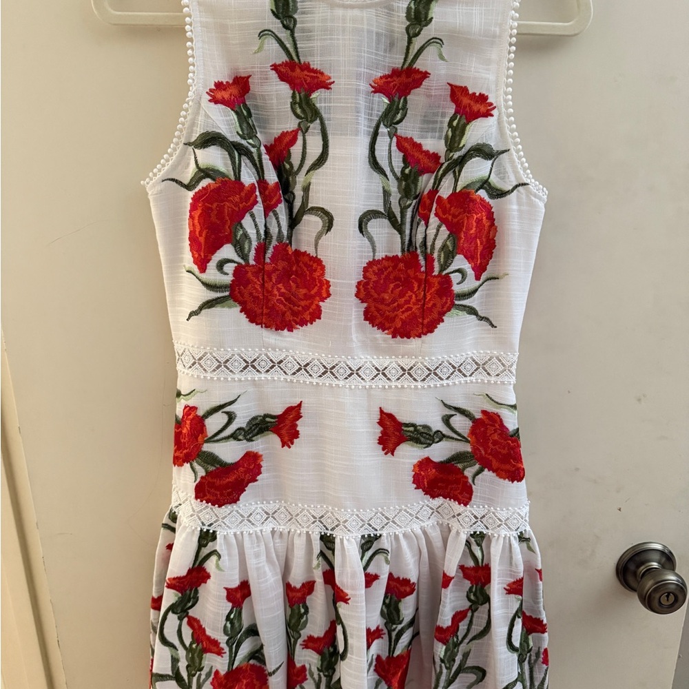 Alexis Floral Embroidered Sleeveless Dress Size M in great condition.
